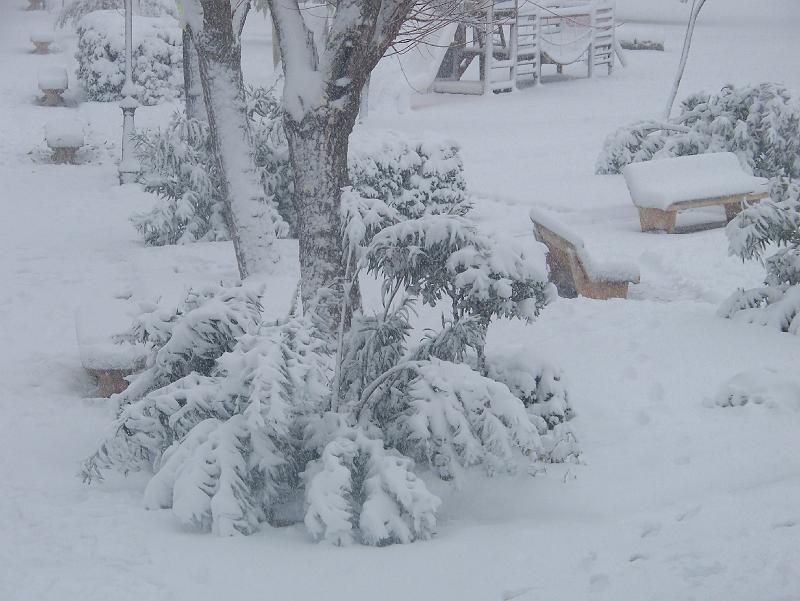 nieve 14 - 12 - 09 081